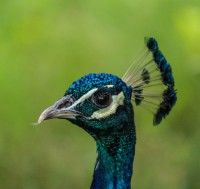 /album/photo-gallery-printove-prints/img-7354-jpg1/