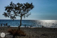 /album/morski-pejzazhi-seascapes/img-0366-jpg/