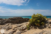 /album/morski-pejzazhi-seascapes/img-3453-jpg/