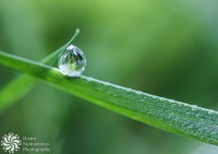 /album/makro-macro/img-4188-jpg1/