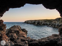 /album/priroda-nature/img-5106-jpg/