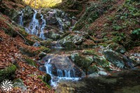 /album/priroda-nature/img-5681-jpg/