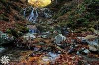 /album/priroda-nature/img-5710-jpg/