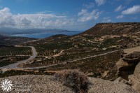 /album/priroda-nature/img-8017-jpg/