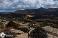 /album/priroda-nature/img-8030-jpg/