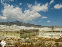 /album/turisticheska-fotografiya-travel/img-9661-jpg/